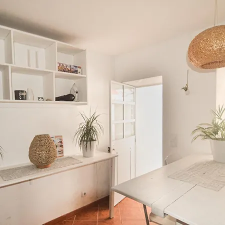 Shared With Bright Private Patio In Lisboa