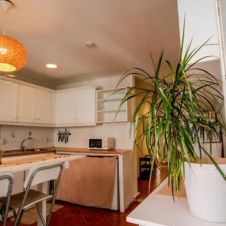 Shared With Bright Private Patio In Casa de hóspedes