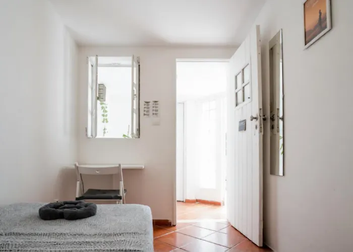 Shared With Bright Private Patio In *